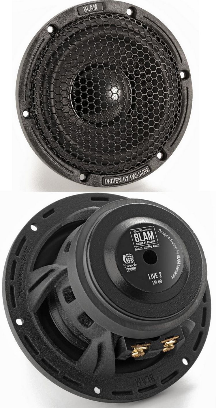 BLAM LM80 широкополосная акустика