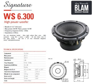 blam-s165300-1