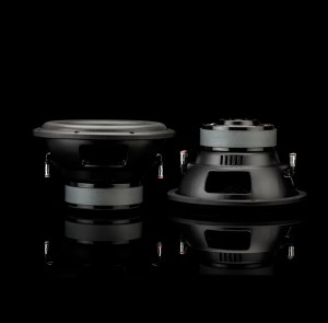 gladen-sigma-ssw10-2