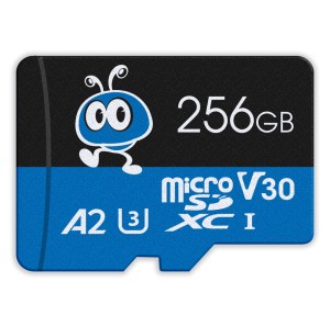 MicroSDXC 256GB Smart buy 